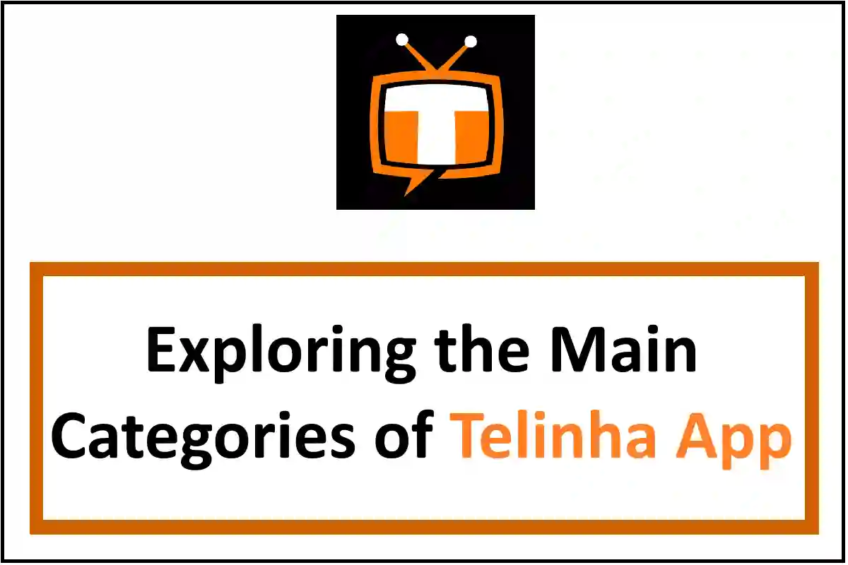 Exploring the Main Categories of Telinha App